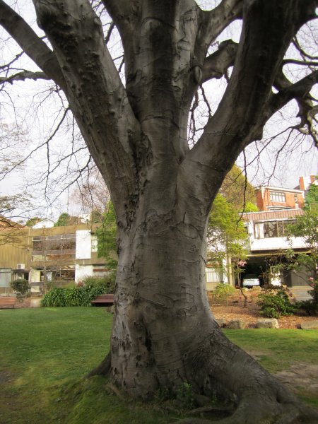 Registering your company to do business in New Zealand - Companies Register